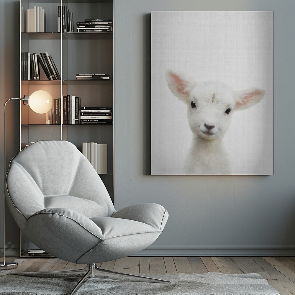 Peekaboo Baby Sheep - Poster / Art Print