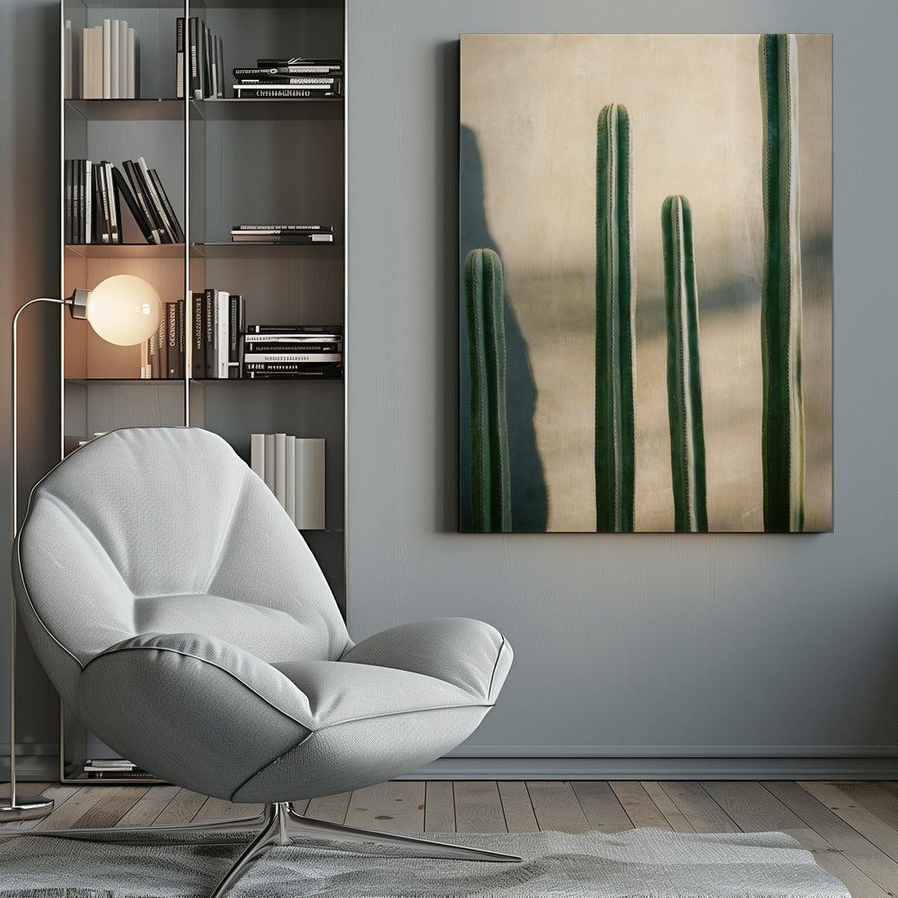 A close-up photograph of four tall, green columnar cacti standing in a row against a textured, light beige wall. Strong sunlight from the side creates bright highlights on the plants and casts a deep shadow to the left. Poster