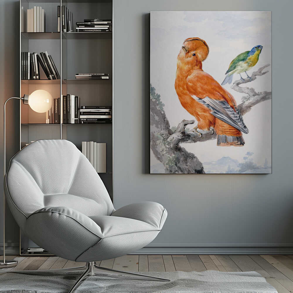 A vintage watercolor painting of two exotic birds on a tree branch. In the foreground, a large, vibrant orange Guianan cock-of-the-rock with a prominent crest looks upward. Behind it, a smaller Green Honeycreeper with a blue head and green feathers is perched. The background is a soft, muted landscape. Decor