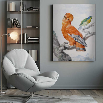 A vintage watercolor painting of two exotic birds on a tree branch. In the foreground, a large, vibrant orange Guianan cock-of-the-rock with a prominent crest looks upward. Behind it, a smaller Green Honeycreeper with a blue head and green feathers is perched. The background is a soft, muted landscape. Decor