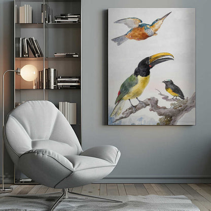 A vintage ornithological illustration of three colorful birds against a light background, framed in black. At the top, a kingfisher is depicted in flight. Below, a large toucan with a prominent yellow beak and a smaller bird are perched on a branch. Print