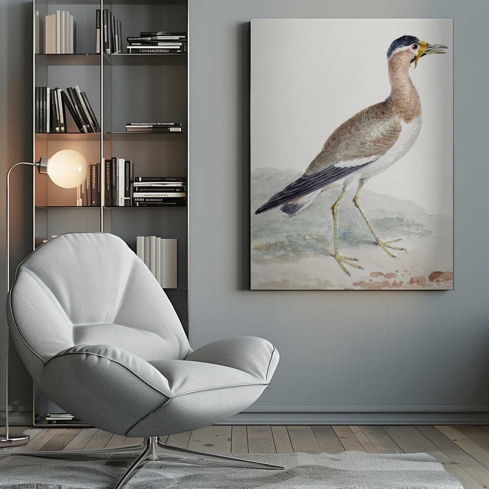 A yellow wattled lapwing bird, typically found in open country, with its distinctive yellow wattle, brown body, and black markings, depicted on a poster or art print. Wall Art