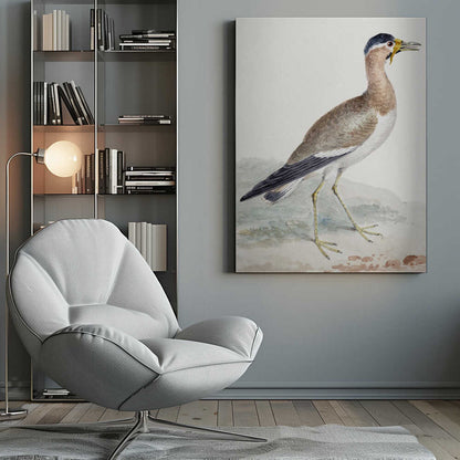 A yellow wattled lapwing bird, typically found in open country, with its distinctive yellow wattle, brown body, and black markings, depicted on a poster or art print. Wall Art