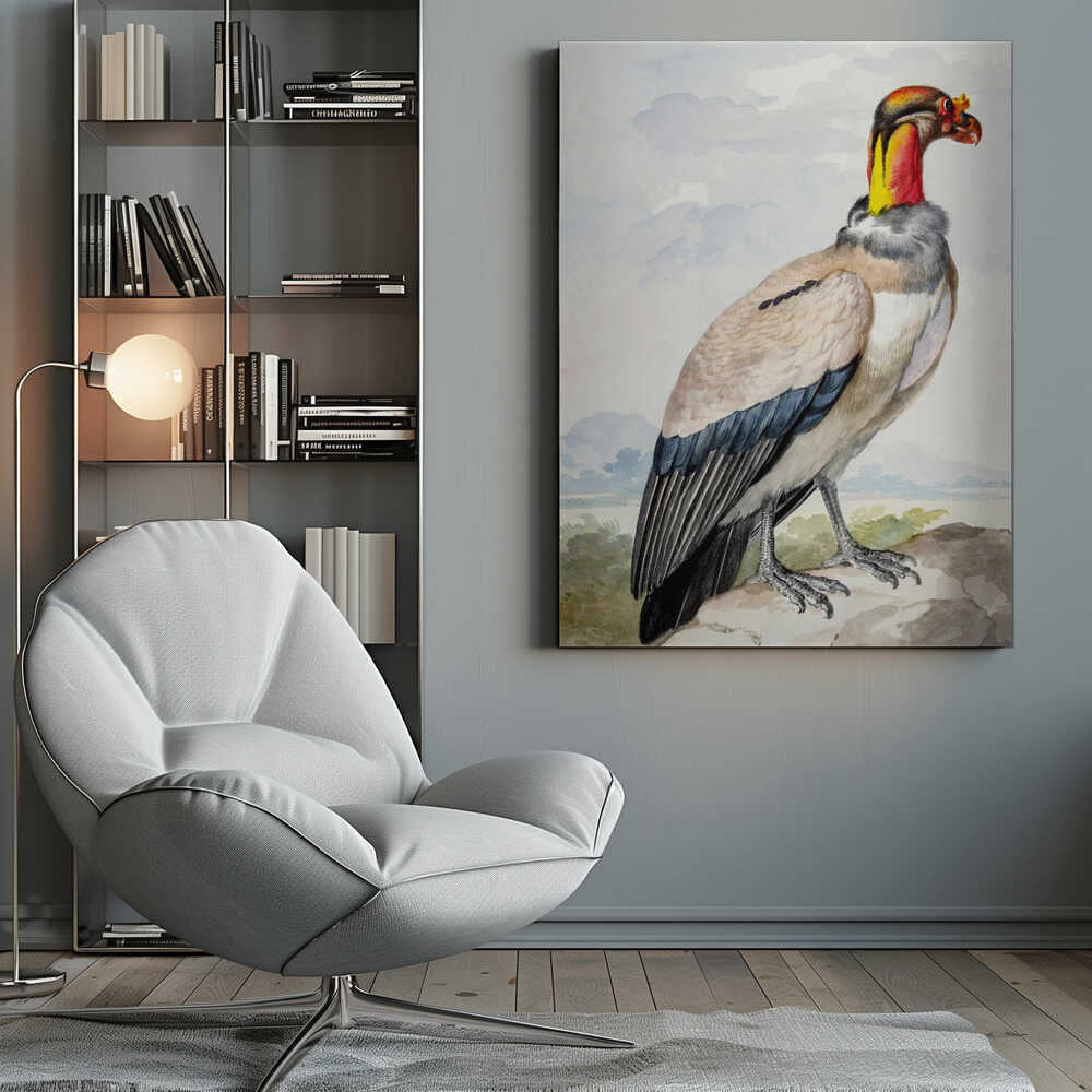 A vintage watercolor illustration of a King Vulture in profile, standing on a rock against a pale sky with distant mountains. The bird has a brightly colored featherless head in shades of red, orange, and yellow, a grey ruff, a cream-colored body, and dark blue and black wing feathers. Poster