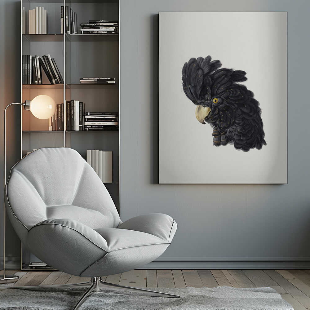 A framed art print featuring a detailed illustration of a black cockatoo's head in profile. The bird has voluminous black feathers with subtle gold flecks, a bright yellow eye, and a pale hooked beak, set against a solid off-white background. Artwork
