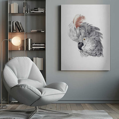 A framed vintage-style scientific illustration of a cockatoo's head against a white background. The bird is shown in profile, with detailed grey and white feathers, a large reddish-brown crest, a dark curved beak, and a yellow eye. Print