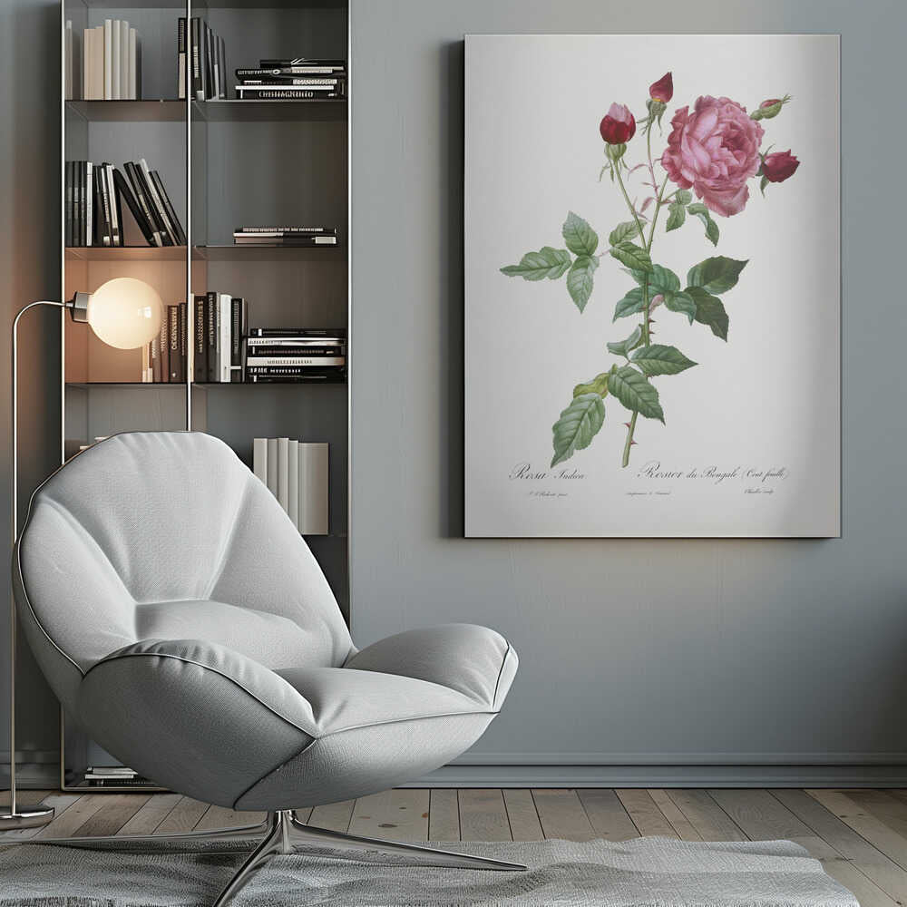 A vintage botanical illustration of a pink and red rose stem, featuring a large, fully bloomed pink flower and several red buds. The thorny green stalk and detailed leaves are set against a plain off-white background with cursive text below. The artwork is presented in a simple black frame. Wall Art