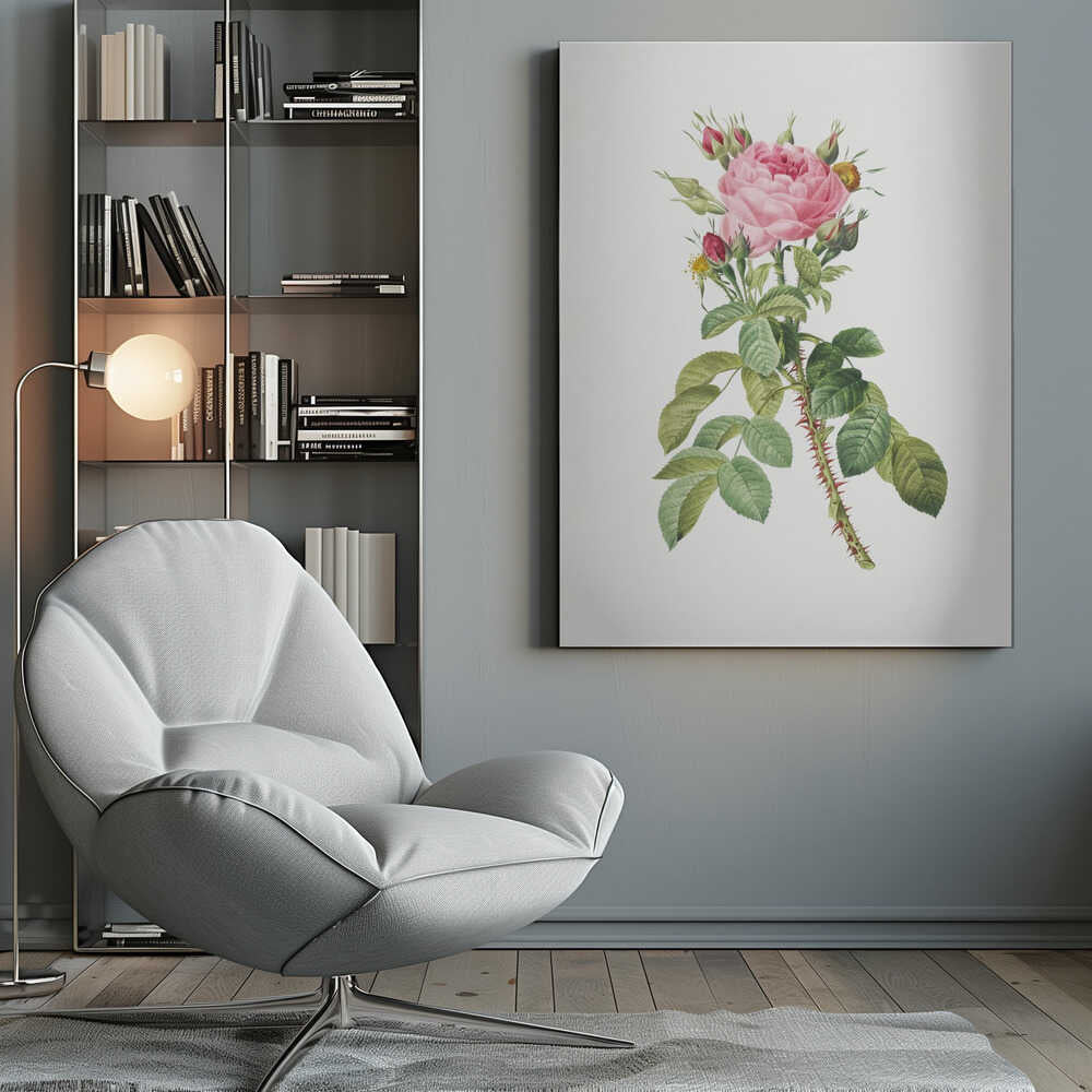 A framed vintage botanical illustration of a pink rose on a white background. The central stem is covered in sharp red thorns and has abundant green leaves. At the top, a large multi-petaled pink rose is in full bloom, surrounded by smaller red and pink buds. Artwork