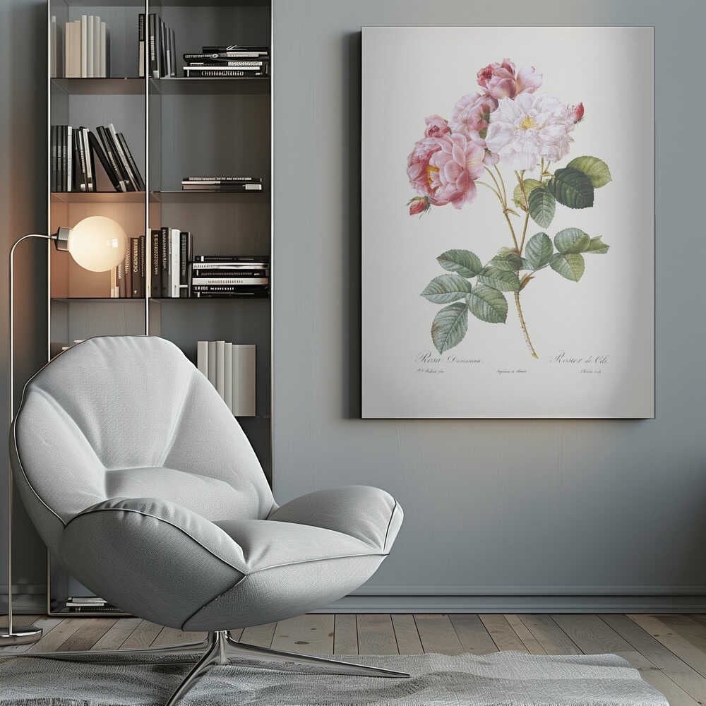 A framed vintage botanical illustration of a Damask rose (Rosa Damascena) stem, featuring delicate pink and white blossoms and detailed green leaves against a light cream background. Cursive scientific text is visible at the bottom. Decor