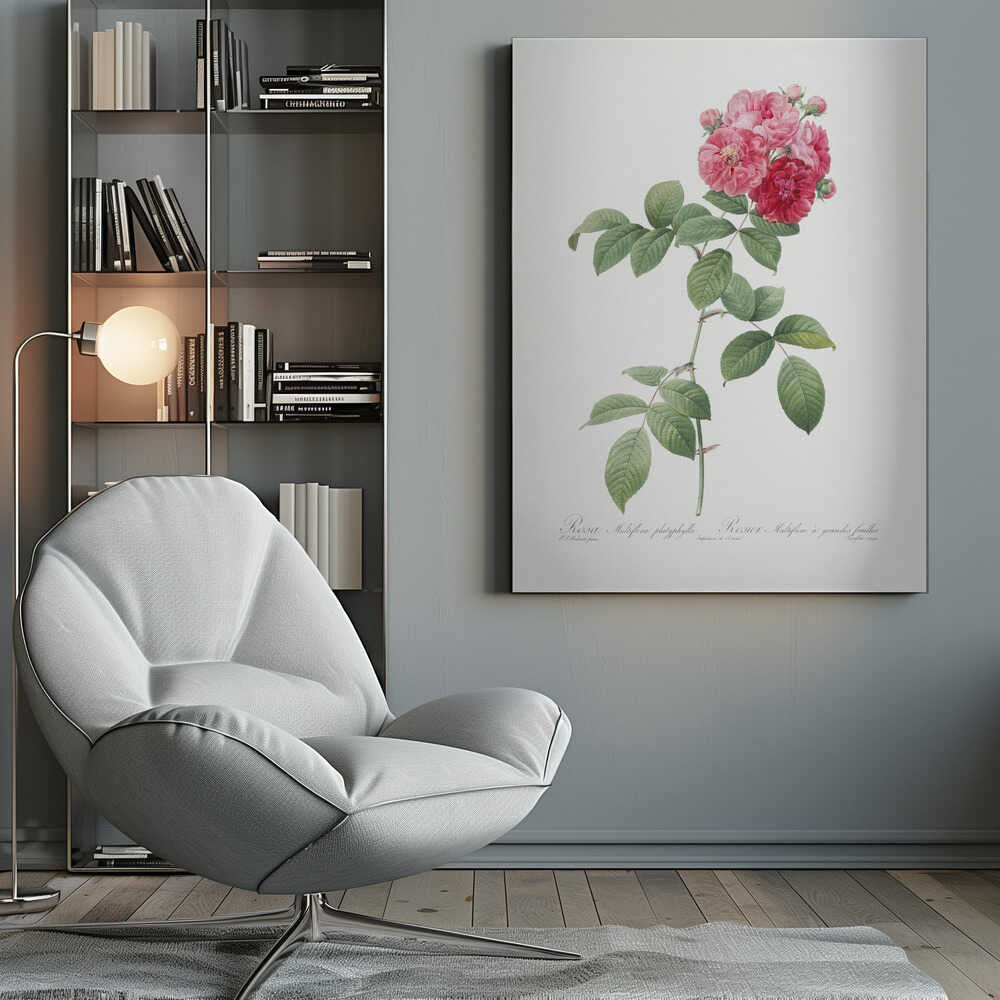 A framed vintage botanical illustration of a Rosa Multiflora platyphylla. The artwork features a single plant stem with green serrated leaves and a cluster of pink and deep red roses at the top. The background is a clean off-white, and there is cursive text at the bottom identifying the flower. Poster