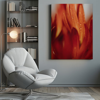 A close-up, macro photograph of vibrant red and orange flower petals covered in tiny water droplets. The image has a shallow depth of field, with some petals in sharp focus while others are softly blurred in the foreground and background, creating an abstract and textured look. Artwork