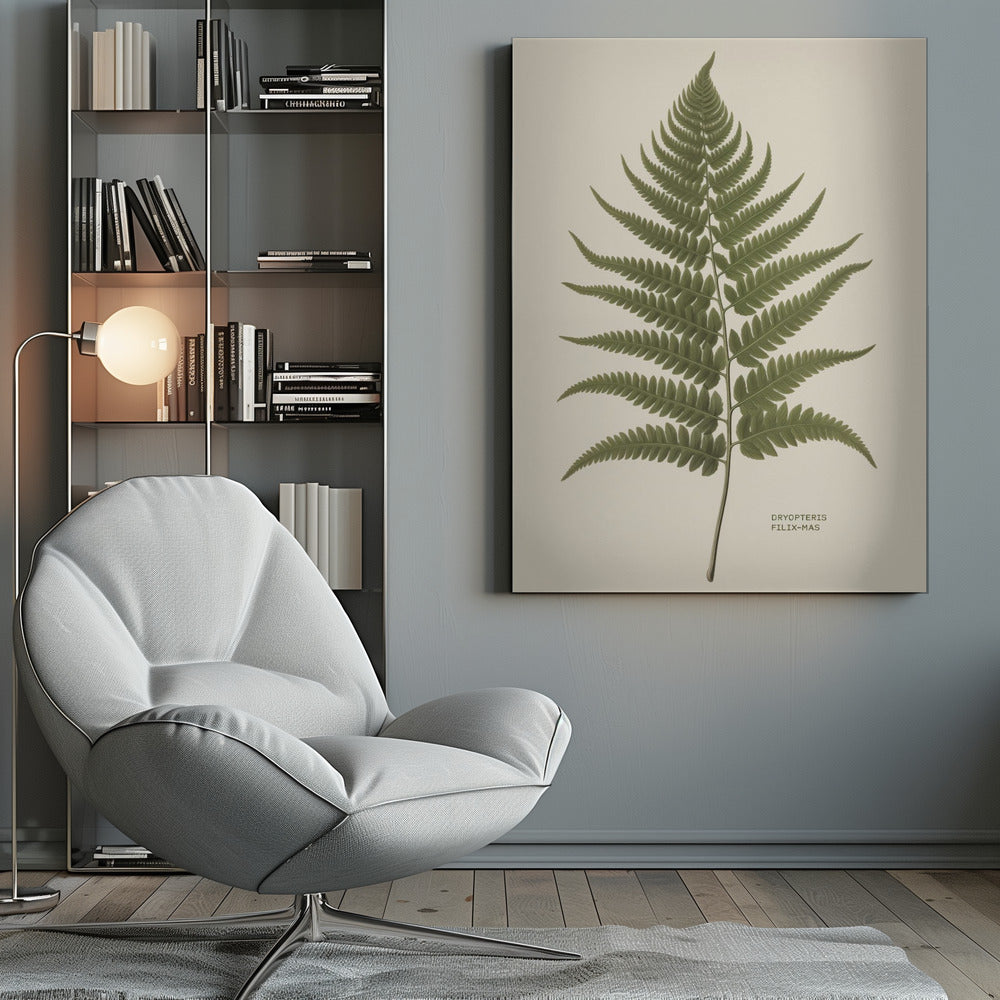 A vintage-style botanical print of a single green fern frond, centered on a light beige background. The scientific name, DRYOPTERIS FILIX-MAS, is printed in the lower right corner. The artwork is presented in a simple black frame. Print