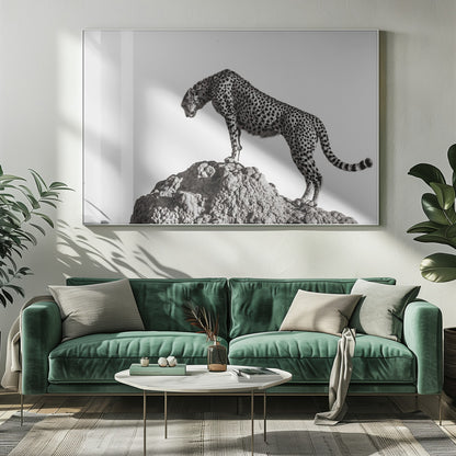 A high-contrast, black and white photograph of a cheetah standing atop a textured rock formation against a plain white background. The cheetah is shown in profile, looking downwards. The image is enclosed in a silver frame. Artwork