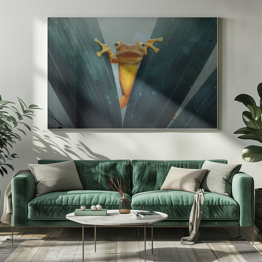 Gold Frog - Poster / Art Print