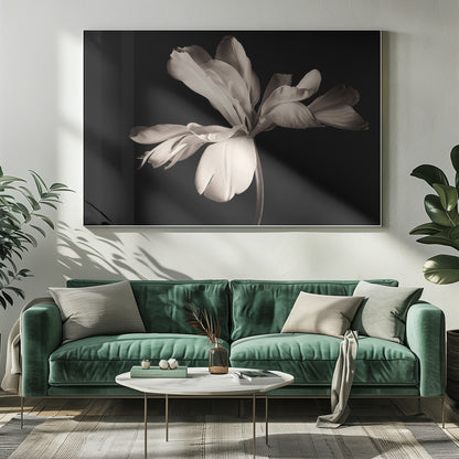 A dramatic, sepia-toned close-up photograph of a large, fully bloomed flower with soft, flowing petals, set against a solid black background and enclosed in a silver frame. Decor