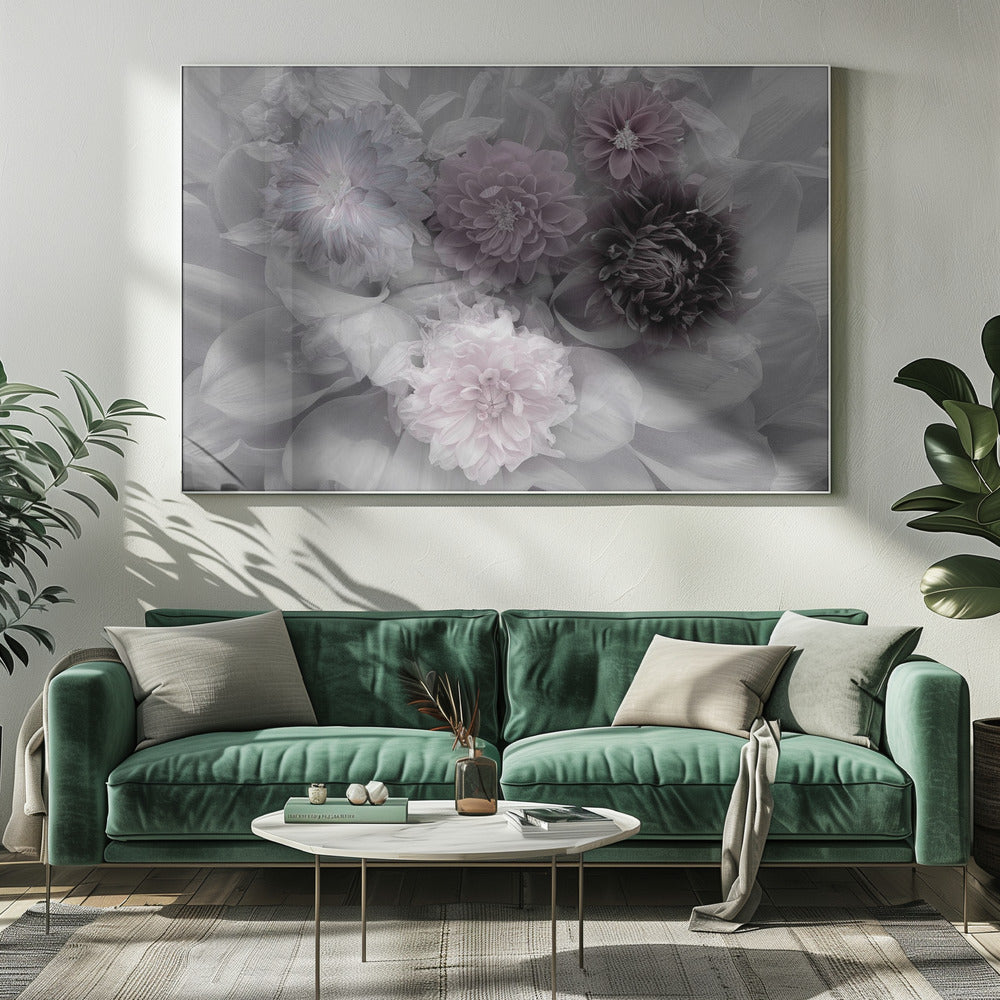 A soft-focus floral artwork in a silver frame, featuring a dense arrangement of dahlias. The image is mostly grayscale, with the flowers highlighted in muted tones of lavender, mauve, and deep purple for a dreamy, romantic feel. Print