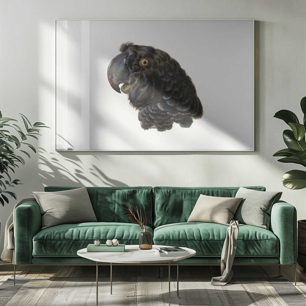 A framed vintage illustration of a black cockatoo's head in profile against a solid white background. The bird has detailed black feathers, a large dark beak, and a striking yellow-orange eye. The artwork is encased in a simple silver frame. Wall Art