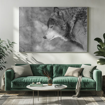 A close-up, black and white photograph of a wolf in profile with its eyes closed, as snow falls heavily around it. The image has a serene and peaceful quality and is enclosed in a silver frame. Artwork