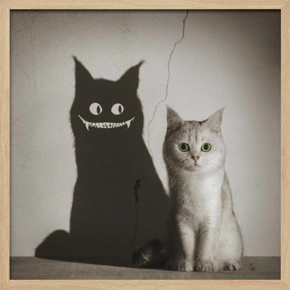 A photographic artwork of a cute, silver-grey cat with vibrant green eyes sitting beside its shadow, which is distorted into a monstrous black creature with large white eyes and a sharp, toothy grin against a cracked wall. Decor