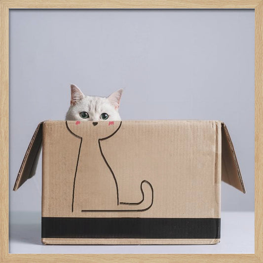 Cat in the box - Poster / Art Print