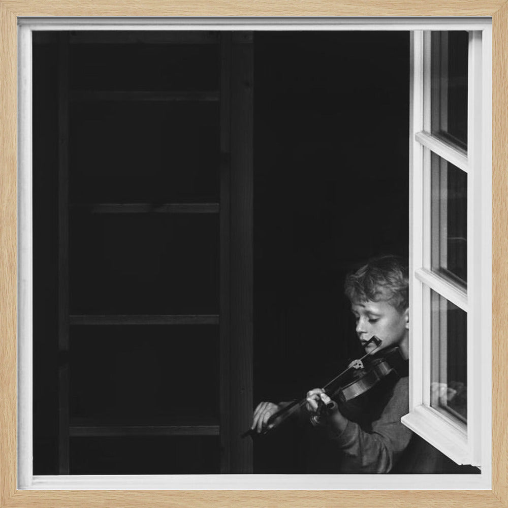 Violinist in the window - Poster / Art Print