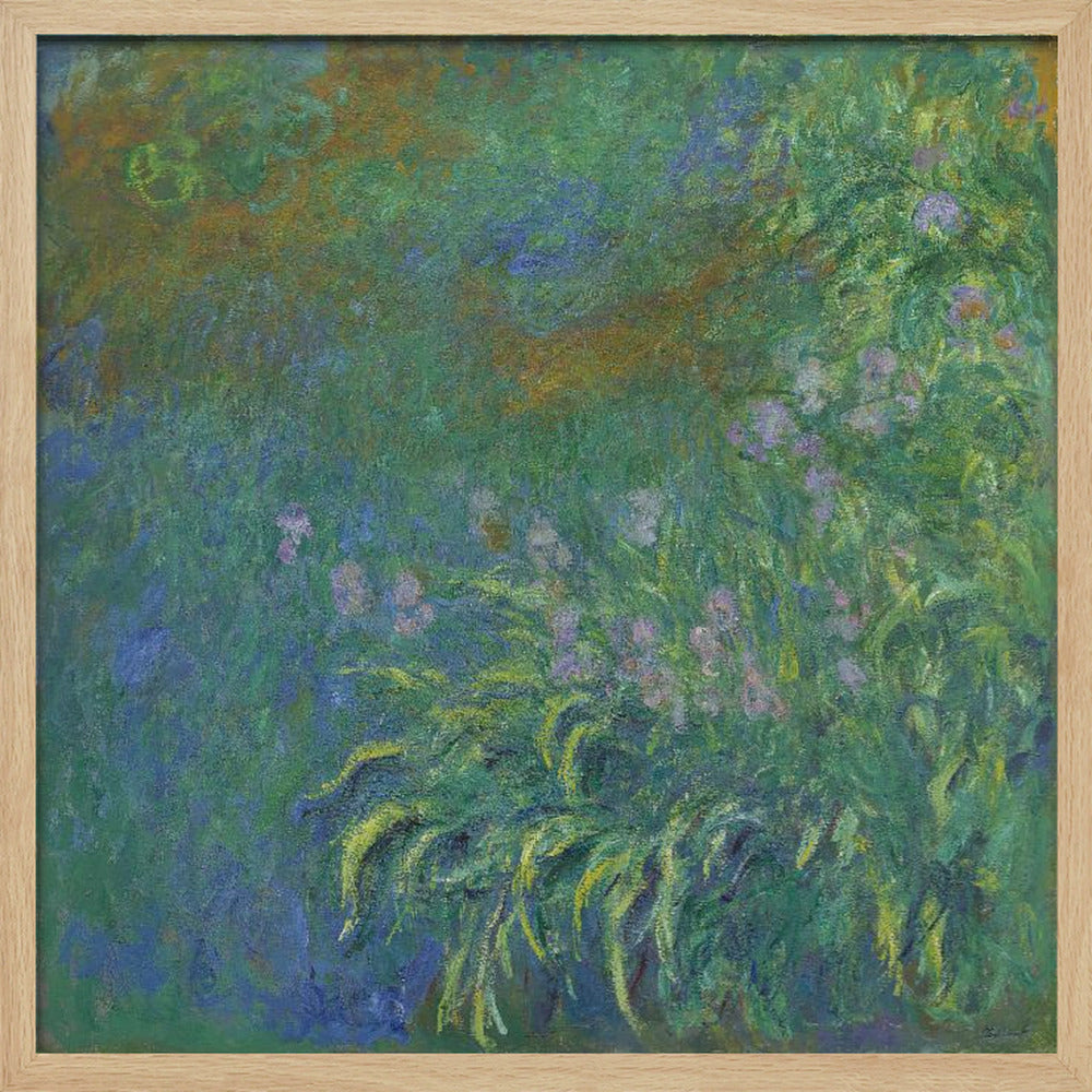 An impressionist painting by Claude Monet, 'The Artist's Garden at Giverny,' featuring a dense patch of purple irises amidst a sea of green and blue foliage, rendered with textured brushstrokes and set in a light wood frame. Print