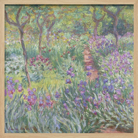 An impressionist painting by Claude Monet, 'The Artist's Garden at Giverny,' set in a light wood frame. The artwork depicts a lush, vibrant garden with a path winding through it. The foreground is dominated by purple irises and tall green leaves, while the background features trees and a mix of colorful flowers in shades of red, yellow, and white, all rendered with visible, textured brushstrokes. Print