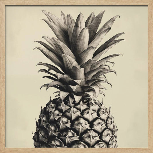 Pineapple - Poster / Art Print