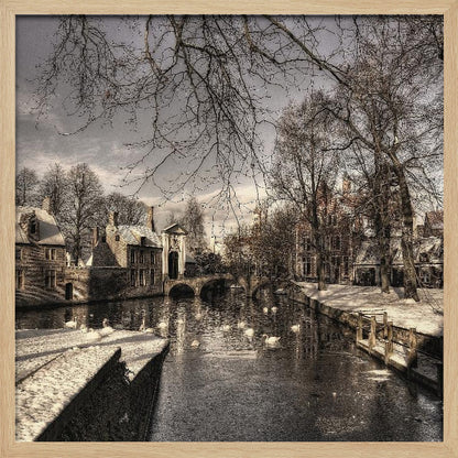 A vintage-style, framed photograph of a European canal scene in winter. Historic buildings and bare trees line the partially frozen canal, where several white swans are swimming. A light dusting of snow covers the canal banks and rooftops under a cloudy sky. Wall Art