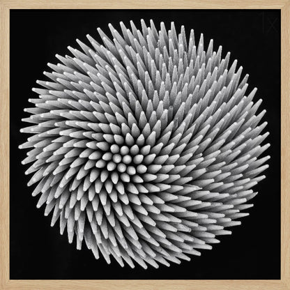 A framed, black and white, top-down macro photograph of a dense, circular bundle of wooden toothpicks. The points of the toothpicks radiate outwards in a swirling, spiral pattern, creating a highly textured and spiky sphere against a solid black background. Artwork