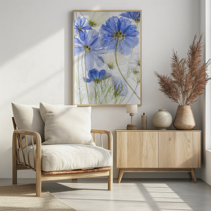 A close-up artistic photograph of blue and white cosmos flowers frozen within a block of clear ice. The flowers are viewed from multiple angles, with delicate petals and thin green stems suspended in the ice, surrounded by tiny air bubbles. Print