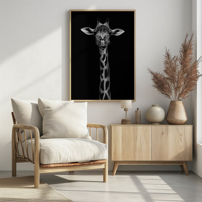 A striking black and white portrait of a giraffe against a solid black background. The giraffe is looking directly forward with a comical expression, its left cheek puffed out as if chewing. Decor