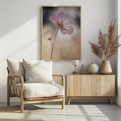 A soft-focus close-up photograph of a delicate pink and white cosmos flower on a long, thin stem. The background is artfully blurred with muted tones of beige, cream, and dark grey, creating a dreamy and serene atmosphere. Another small flower bud is faintly visible in the background. Decor