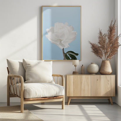 A close-up photograph of a fully bloomed white peony with delicate, layered petals, set against a solid light blue background. A portion of its dark stem and a single green leaf are visible at the bottom. The image is presented in a simple black frame. Wall Art
