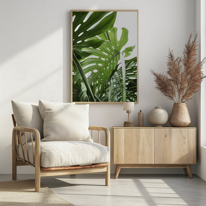 A low-angle, close-up photograph of vibrant green Monstera deliciosa leaves, showcasing their natural splits and holes against a bright white background, enclosed in a thin black frame. Print