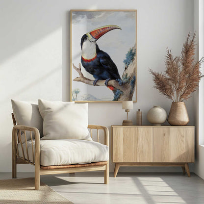 A vintage scientific illustration of a red-billed toucan perched on a tree branch, shown in profile. The bird has dark blue and black plumage, a white throat, and a massive, colorful beak with shades of red, orange, and yellow. The background features a pale, cloudy sky and a distant tropical landscape. Print