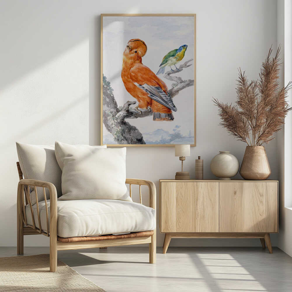 A vintage watercolor painting of two exotic birds on a tree branch. In the foreground, a large, vibrant orange Guianan cock-of-the-rock with a prominent crest looks upward. Behind it, a smaller Green Honeycreeper with a blue head and green feathers is perched. The background is a soft, muted landscape. Decor