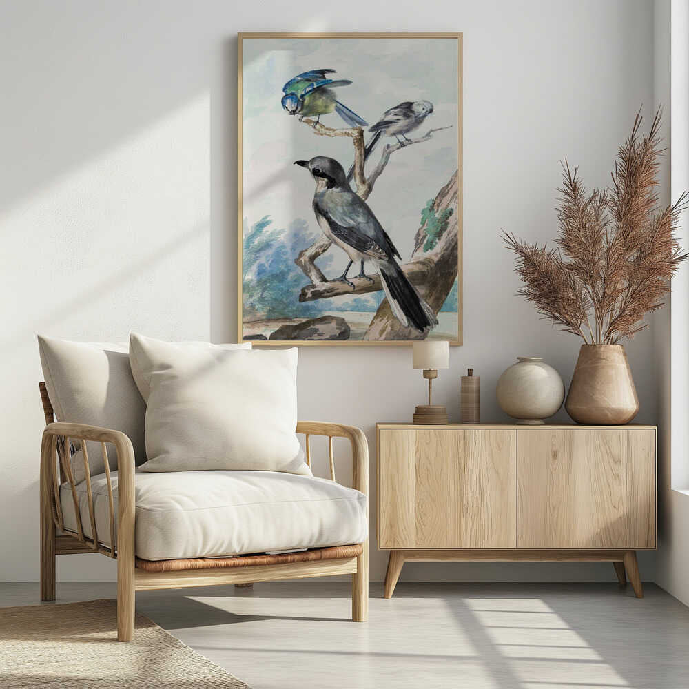 A vintage watercolor illustration of three birds perched on tree branches against a soft landscape background. A large grey shrike is in the foreground, with a smaller blue tit and a long-tailed tit on branches above it. The artwork is presented in a black frame. Decor