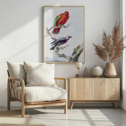 A vertical vintage watercolor illustration of two birds perched on a branch against a light background, enclosed in a black frame. The top bird is a bright red parrot with green wing accents. The lower bird is smaller, with a purple chest, a grey head, and dark wings. Print