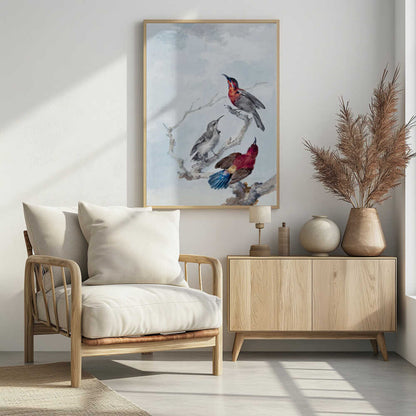 A vintage watercolor illustration of three birds on a gnarled branch against a soft blue and grey sky. One bird has a red and blue head, another is grey, and the third displays a crimson back and vibrant blue tail feathers. The artwork is presented in a simple black frame. Poster
