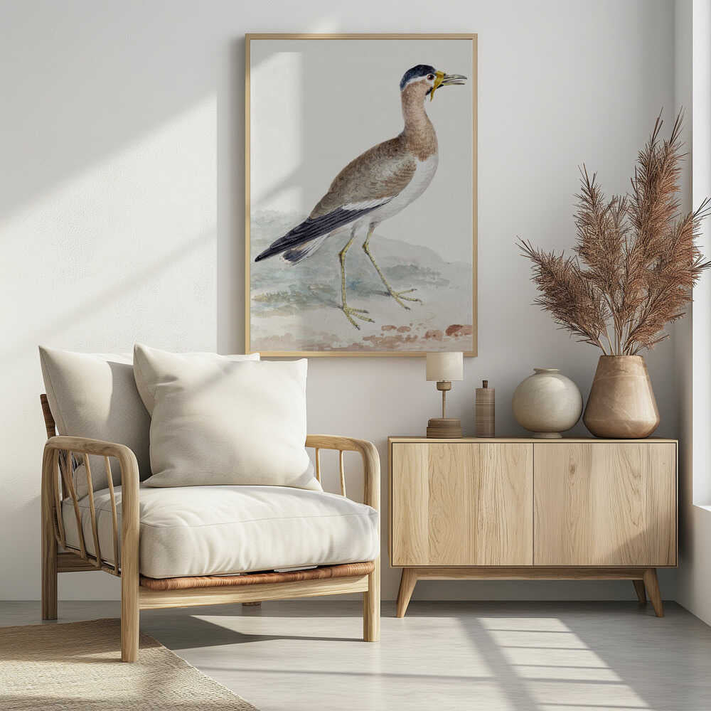 A yellow wattled lapwing bird, typically found in open country, with its distinctive yellow wattle, brown body, and black markings, depicted on a poster or art print. Wall Art