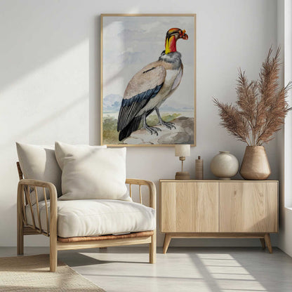 A vintage watercolor illustration of a King Vulture in profile, standing on a rock against a pale sky with distant mountains. The bird has a brightly colored featherless head in shades of red, orange, and yellow, a grey ruff, a cream-colored body, and dark blue and black wing feathers. Poster