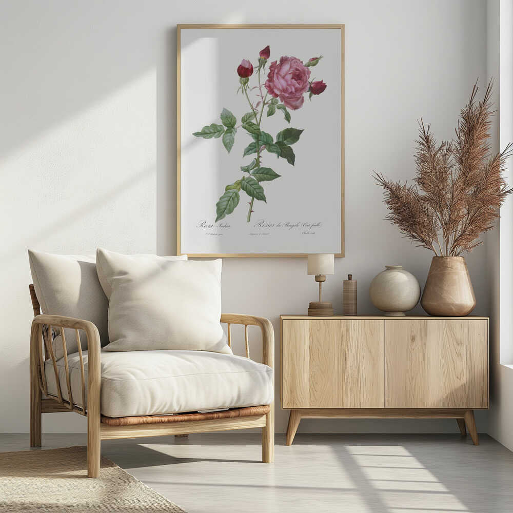 A vintage botanical illustration of a pink and red rose stem, featuring a large, fully bloomed pink flower and several red buds. The thorny green stalk and detailed leaves are set against a plain off-white background with cursive text below. The artwork is presented in a simple black frame. Wall Art