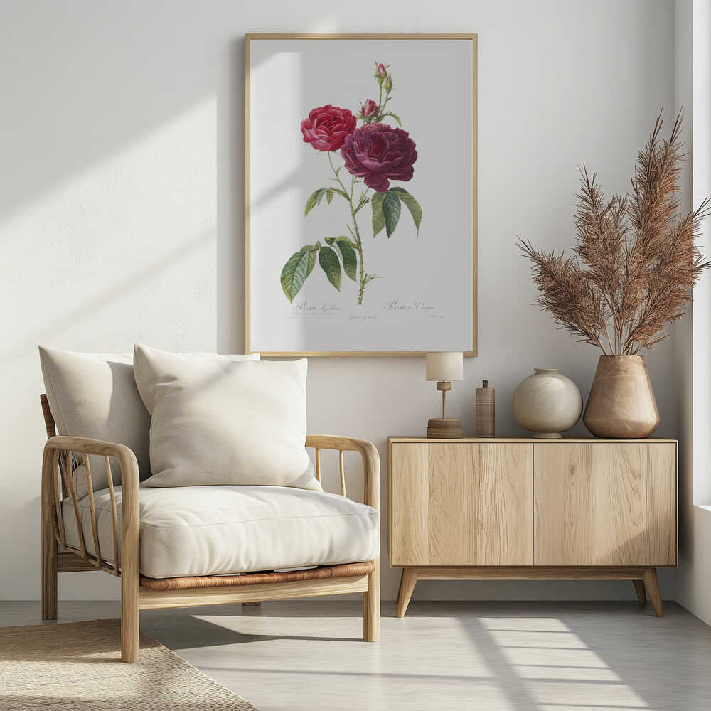 A classic botanical illustration of a rose stem with two large blossoms, one bright red and the other a deep magenta, along with several buds. The stem is green with thorns and leaves, set against an off-white background and presented in a simple black frame. Artwork