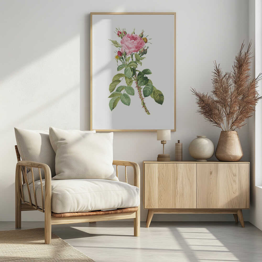 A framed vintage botanical illustration of a pink rose on a white background. The central stem is covered in sharp red thorns and has abundant green leaves. At the top, a large multi-petaled pink rose is in full bloom, surrounded by smaller red and pink buds. Artwork