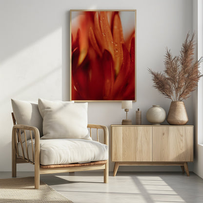A close-up, macro photograph of vibrant red and orange flower petals covered in tiny water droplets. The image has a shallow depth of field, with some petals in sharp focus while others are softly blurred in the foreground and background, creating an abstract and textured look. Artwork