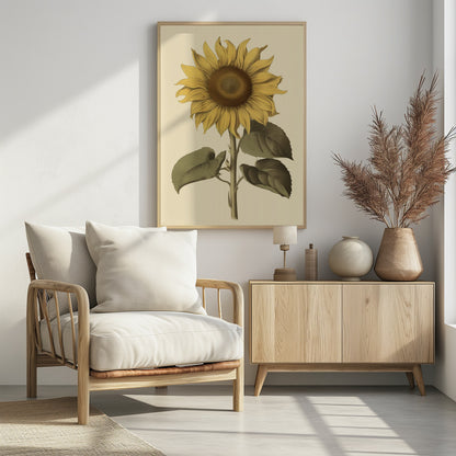 A vintage botanical illustration of a single large sunflower in a black frame. The flower has bright yellow petals, a detailed brown center, and is attached to a thick green stem with large leaves, all set against a cream background. Decor