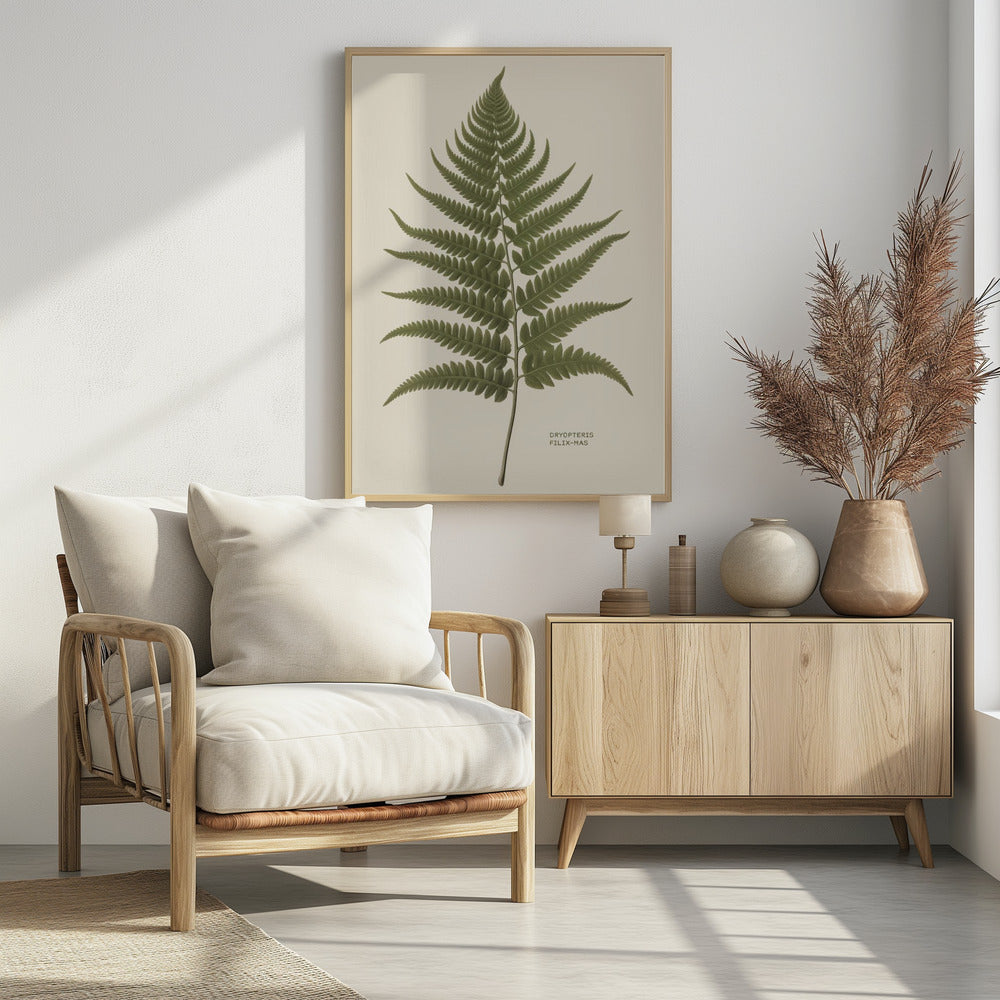 A vintage-style botanical print of a single green fern frond, centered on a light beige background. The scientific name, DRYOPTERIS FILIX-MAS, is printed in the lower right corner. The artwork is presented in a simple black frame. Print
