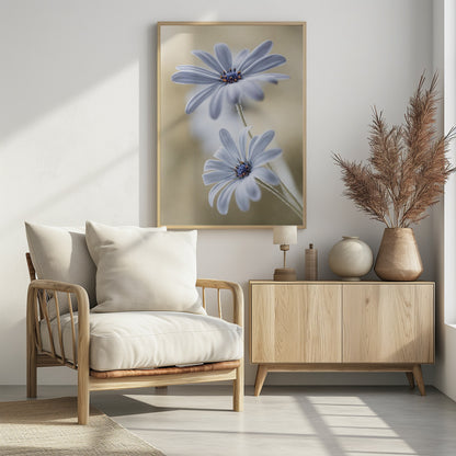 A soft-focus close-up photograph of two light blue daisies with vibrant blue and orange centers. The flowers are positioned one above the other against a warm, blurry beige background, creating a dreamy and serene atmosphere. Wall Art