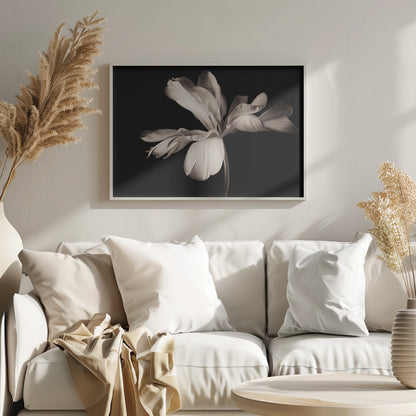 A dramatic, sepia-toned close-up photograph of a large, fully bloomed flower with soft, flowing petals, set against a solid black background and enclosed in a silver frame. Decor